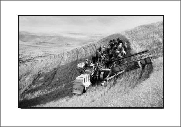 Harvest on the Plains