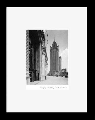 Wrigley Building / Tribune Tower