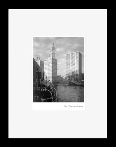 The Chicago School of Architecture / Continuity and Contrast