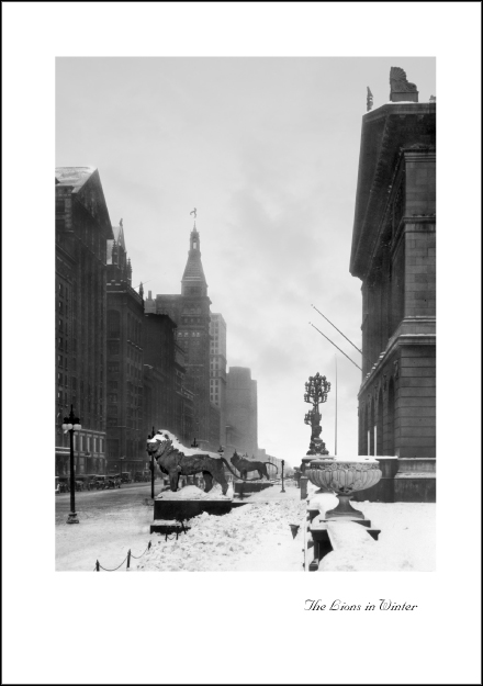The Lions in Winter