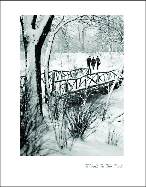 A Walk in the Park