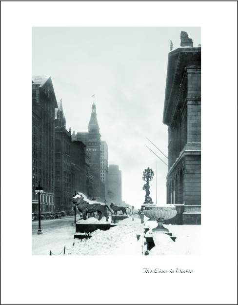 The Lions in Winter